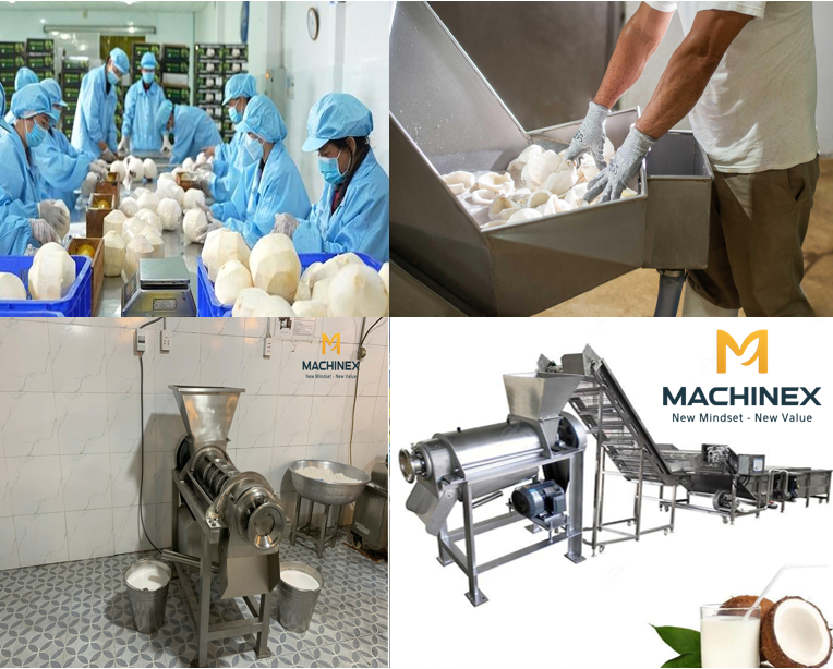Khám Phá Quy Trình Sản Xuất Nước Cốt Dừa Công Nghiệp Từ A–Z