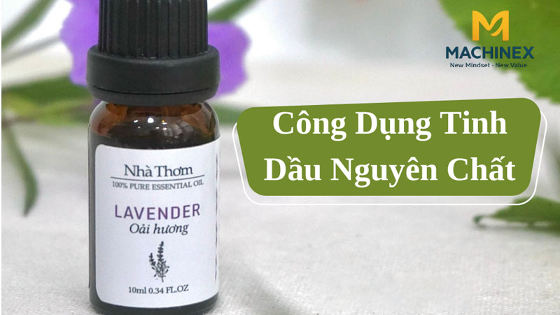 Công dụng Top 30 loại tinh dầu từ thiên nhiên
