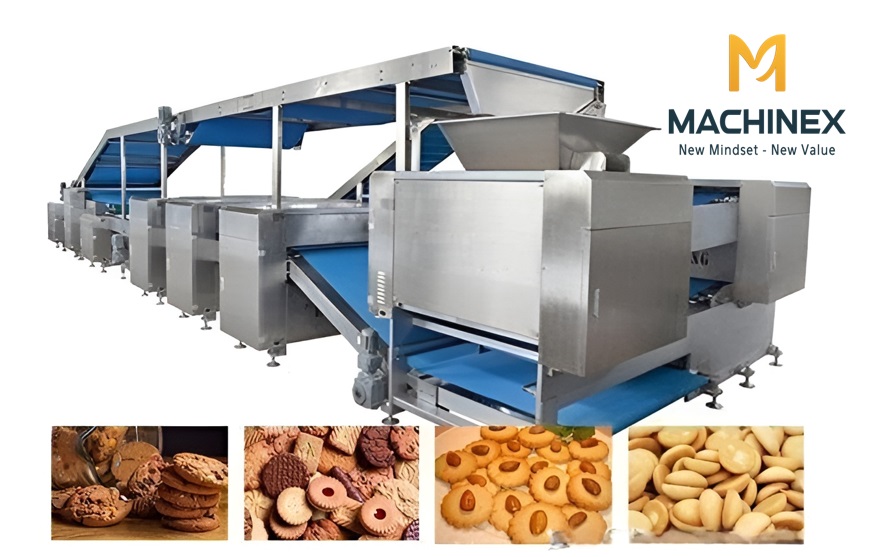 Dây chuyền sản xuất bánh quy hiện đại