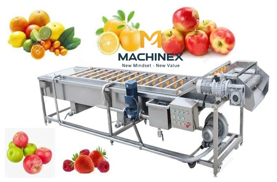 dây chuyền rửa hoa quả trái cây