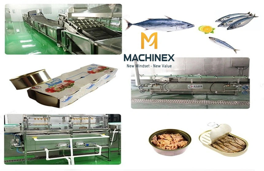 dây chuyền sản xuất cá đóng hộp machinex