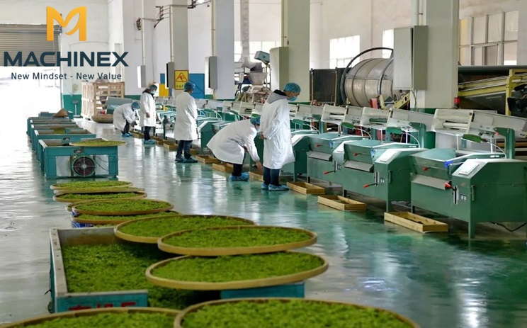 sản xuất nước trà tự động