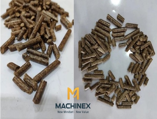 Thiết bị ép viên gỗ công nghiệp