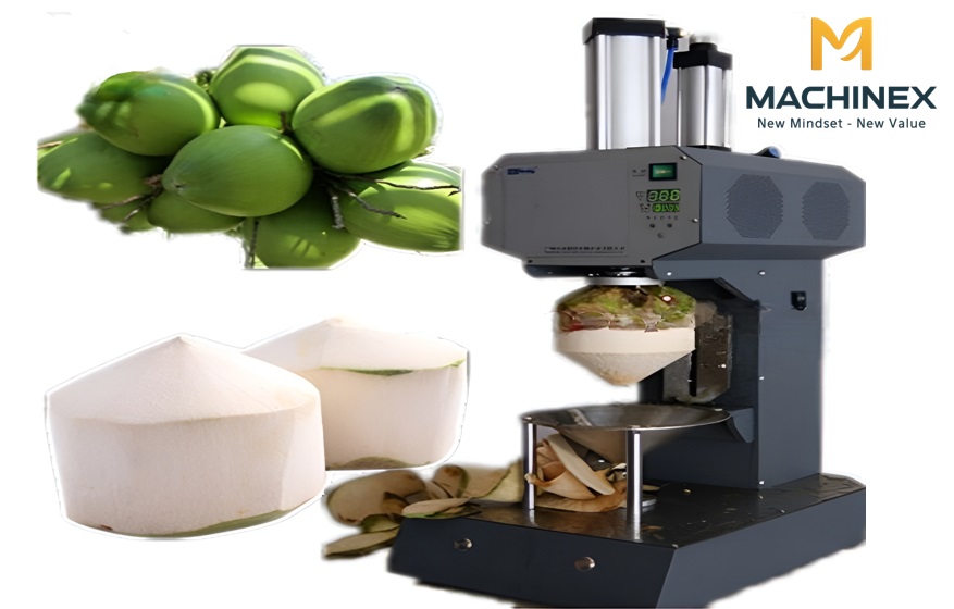 Hệ thống rửa dừa tự động
