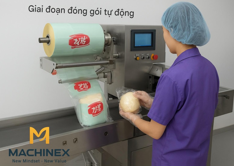 Hệ thống đóng gói dừa tươi