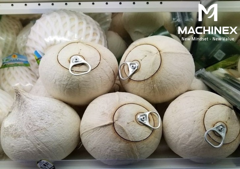 Quy trình sơ chế dừa sạch