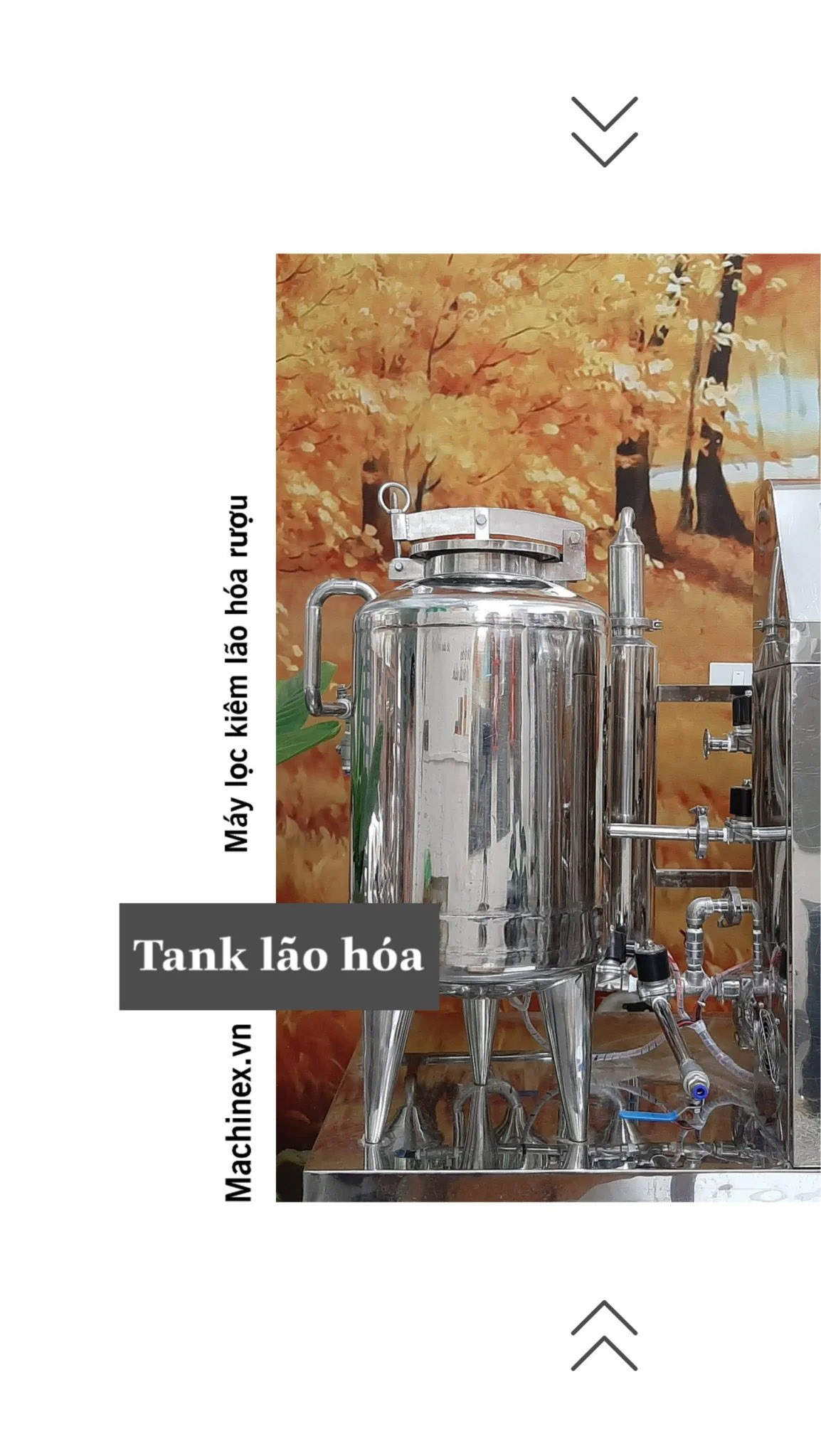 Máy lọc độc tố rượu