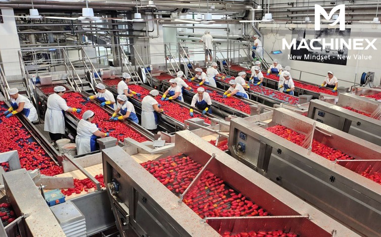 sấy khô trái cây xuất khẩu