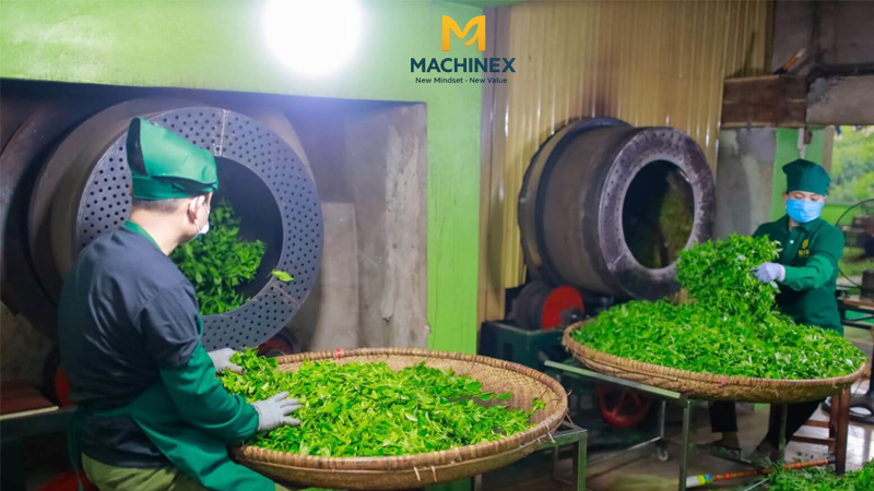 Starup đầu tư nhà máy trà túi lọc thảo dược