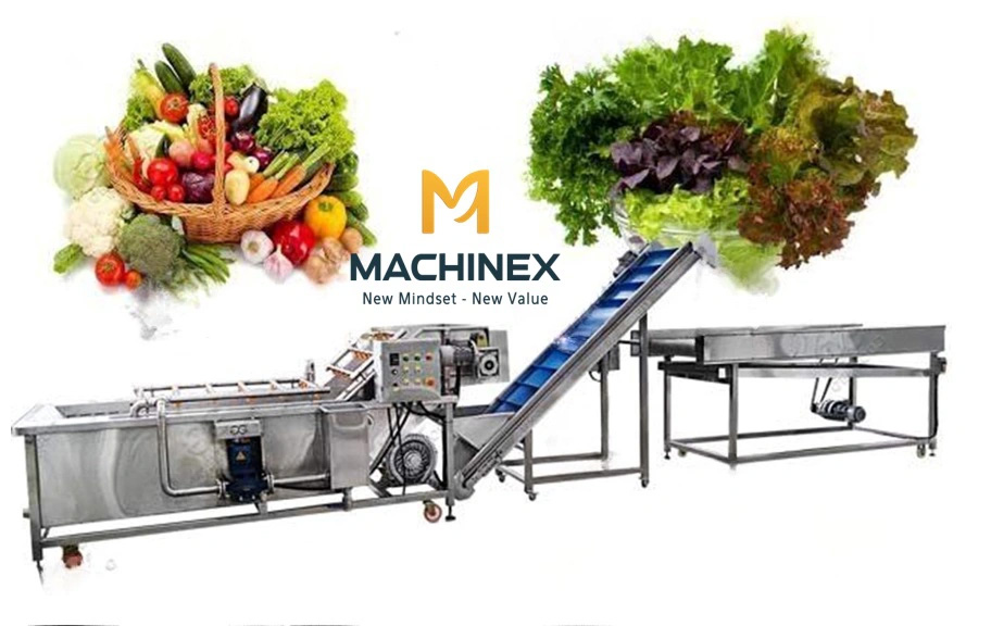 Thiết bị rửa trái cây công nghiệp