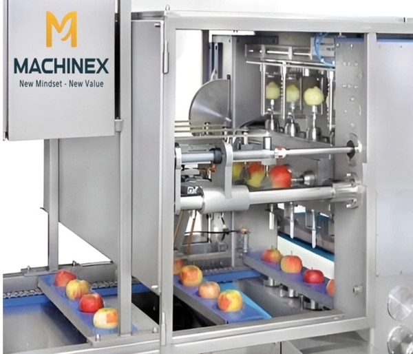 Automatic Fruit Peeling Line