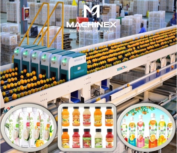 Multi-Fruit Juice Production Line