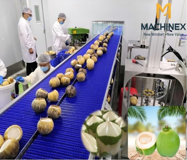 Fresh Coconut Preparation & Export Packaging Line