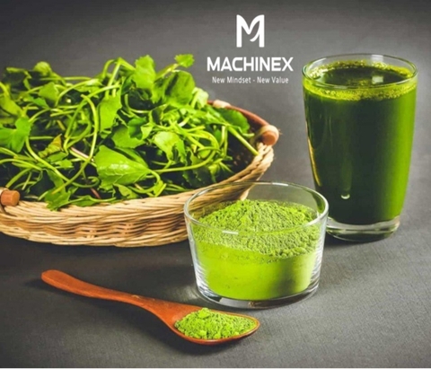 Làm Sao Để Bột Rau Má Có Màu Sắc Đẹp Và Hương Vị Ổn Định?