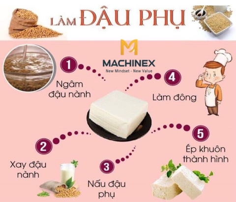 Tìm Hiểu Quy Trình Sản Xuất Đậu Hũ Chi Tiết Từ Đậu Nành Đến Thành Phẩm