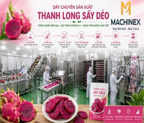 Chewy Dried Dragon Fruit Production Line
