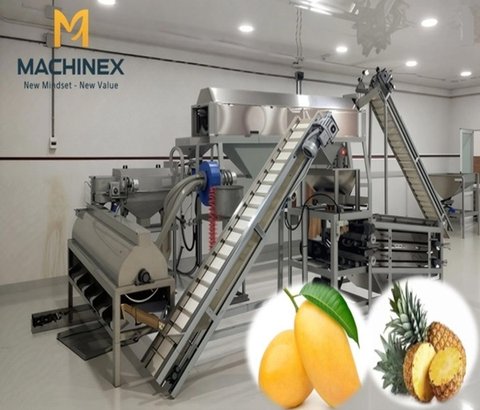 Canned Pineapple & Mango Production Line