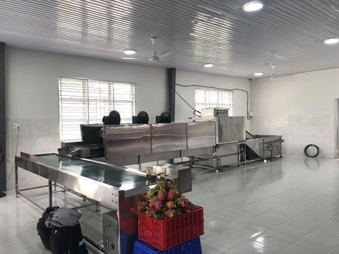 Automatic Produce & Food Washing System