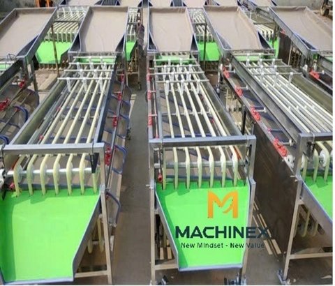 Máy Phân Loại Trái Cây Dạng Con Lăn Cổng Xả (Xả Dốc)
