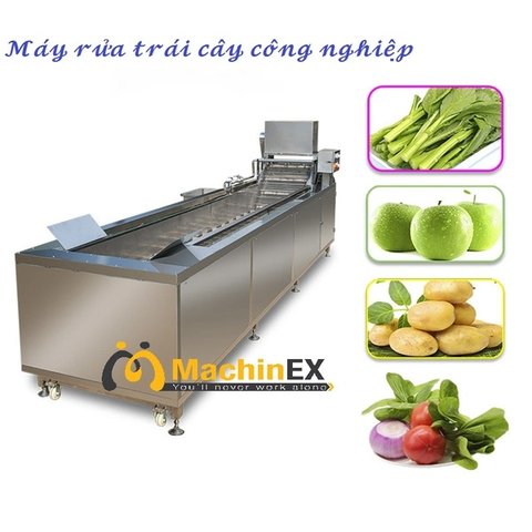 Machinex Industrial Fruit Washer