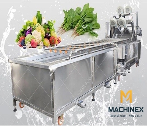 Industrial Fruit Washer